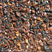 chestnut chestnut